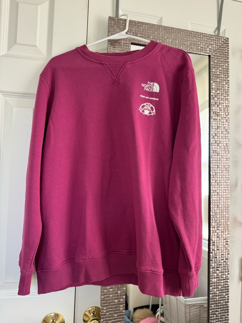 The North Face Magenta Crewneck Sweatshirt